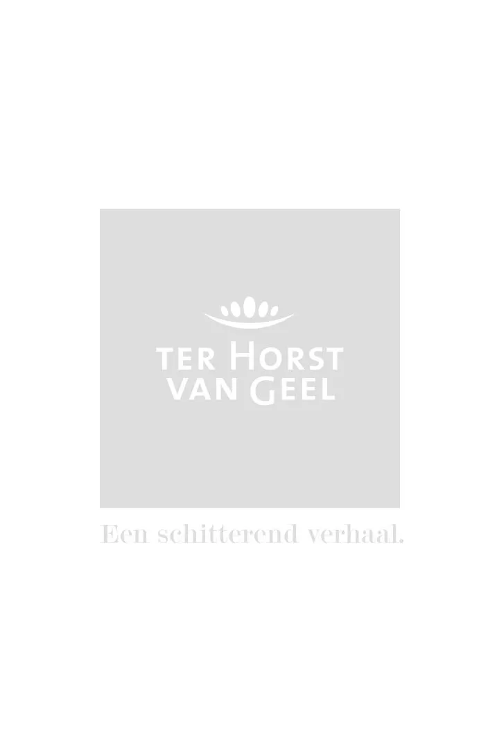 Esprit Casual shirt met dierenprint